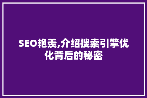 SEO艳羡,介绍搜索引擎优化背后的秘密 必应SEO