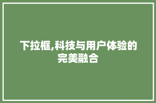 下拉框,科技与用户体验的完美融合 GoogleSEO