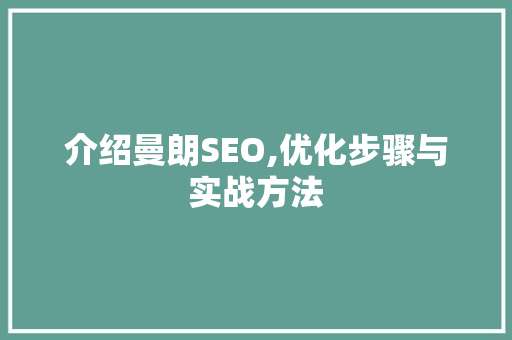 介绍曼朗SEO,优化步骤与实战方法 搜狗SEO