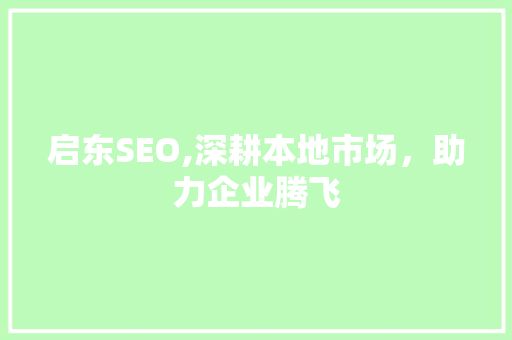 启东SEO,深耕本地市场，助力企业腾飞 GoogleSEO
