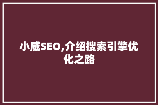 小威SEO,介绍搜索引擎优化之路 神马SEO