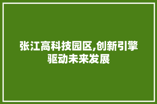张江高科技园区,创新引擎驱动未来发展 神马SEO