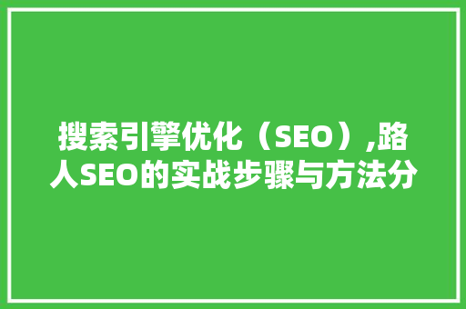 搜索引擎优化（SEO）,路人SEO的实战步骤与方法分析 GoogleSEO