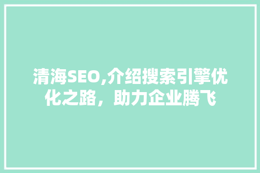 清海SEO,介绍搜索引擎优化之路，助力企业腾飞 必应SEO