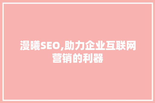 漫曦SEO,助力企业互联网营销的利器 GoogleSEO