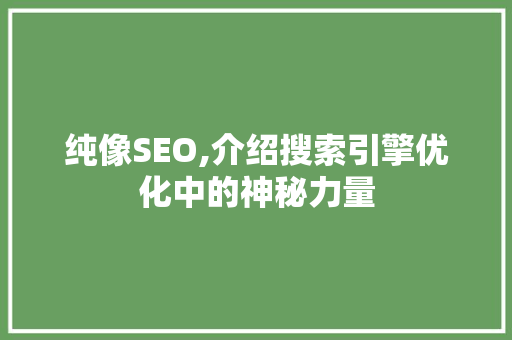 纯像SEO,介绍搜索引擎优化中的神秘力量