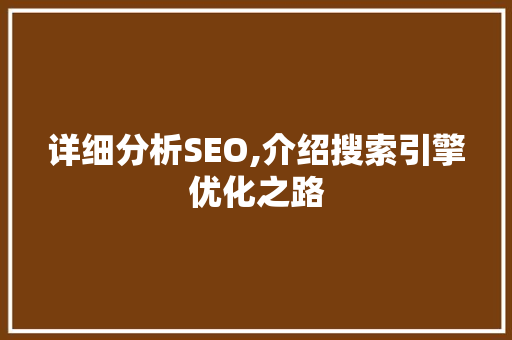 详细分析SEO,介绍搜索引擎优化之路 神马SEO