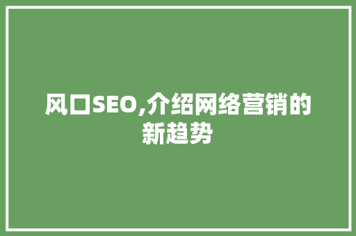 风口SEO,介绍网络营销的新趋势 GoogleSEO
