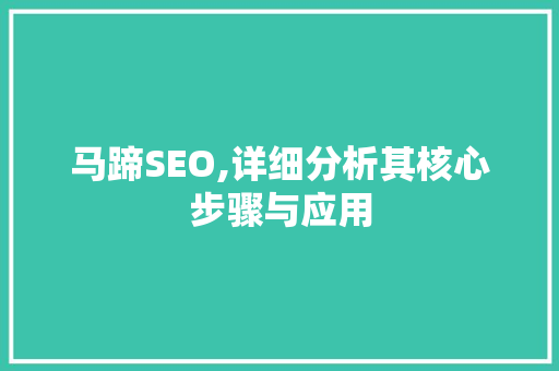 马蹄SEO,详细分析其核心步骤与应用 百度SEO
