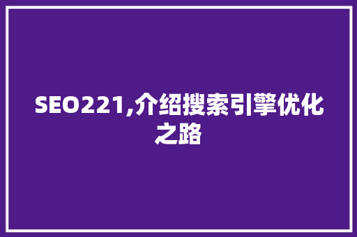 SEO221,介绍搜索引擎优化之路 必应SEO