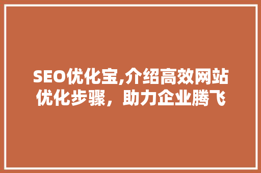 SEO优化宝,介绍高效网站优化步骤，助力企业腾飞 搜狗SEO