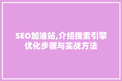 SEO加油站,介绍搜索引擎优化步骤与实战方法 GoogleSEO