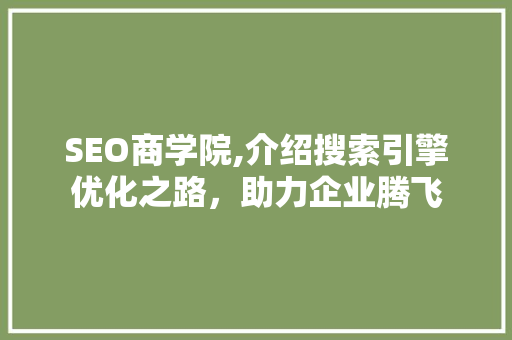 SEO商学院,介绍搜索引擎优化之路，助力企业腾飞 GoogleSEO