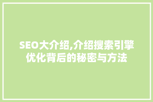 SEO大介绍,介绍搜索引擎优化背后的秘密与方法 百度SEO