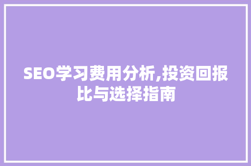 SEO学习费用分析,投资回报比与选择指南 百度SEO