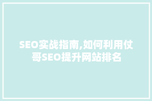 SEO实战指南,如何利用仗哥SEO提升网站排名 搜狗SEO