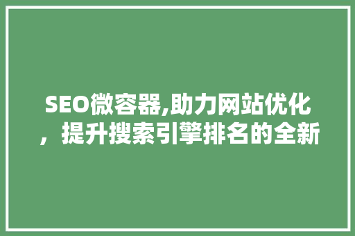 SEO微容器,助力网站优化，提升搜索引擎排名的全新步骤 神马SEO