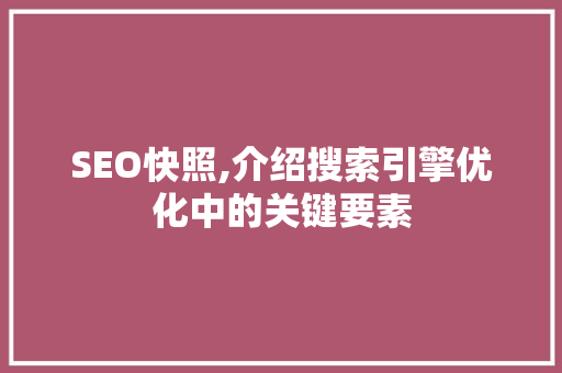 SEO快照,介绍搜索引擎优化中的关键要素 神马SEO