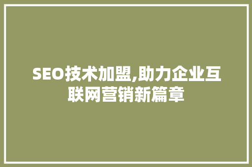 SEO技术加盟,助力企业互联网营销新篇章 百度SEO