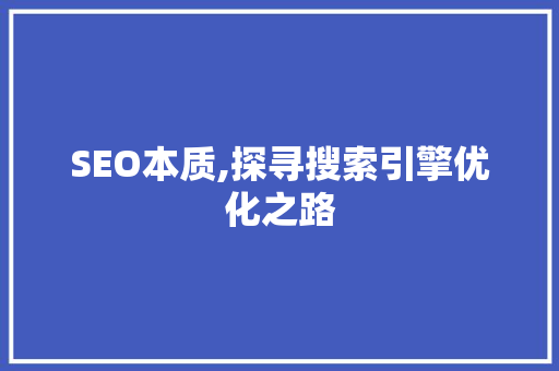 SEO本质,探寻搜索引擎优化之路 GoogleSEO