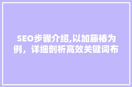 SEO步骤介绍,以加藤椿为例，详细剖析高效关键词布局之路 神马SEO