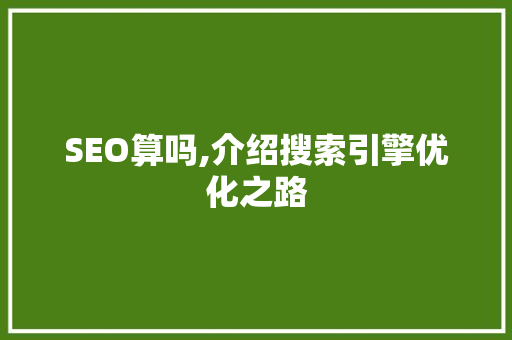 SEO算吗,介绍搜索引擎优化之路 百度SEO