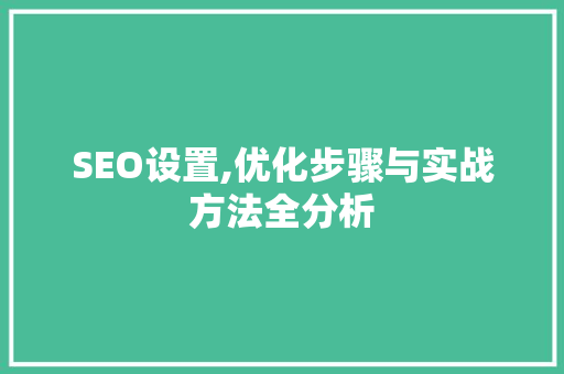 SEO设置,优化步骤与实战方法全分析 GoogleSEO