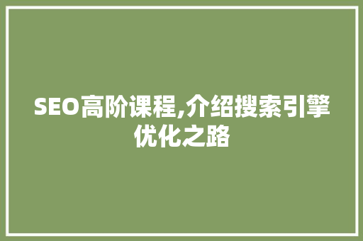 SEO高阶课程,介绍搜索引擎优化之路 GoogleSEO