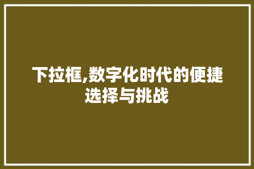 下拉框,数字化时代的便捷选择与挑战 GoogleSEO