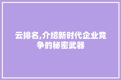 云排名,介绍新时代企业竞争的秘密武器 GoogleSEO