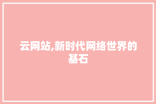 云网站,新时代网络世界的基石 百度SEO