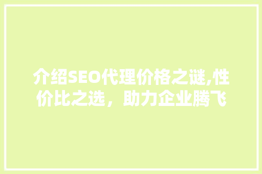 介绍SEO代理价格之谜,性价比之选，助力企业腾飞 GoogleSEO