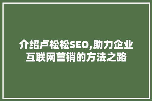 介绍卢松松SEO,助力企业互联网营销的方法之路 百度SEO