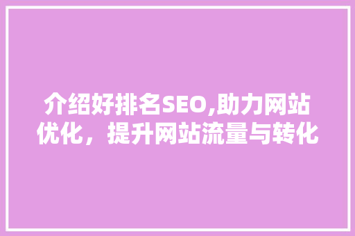 介绍好排名SEO,助力网站优化，提升网站流量与转化率 搜狗SEO