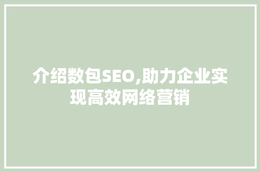 介绍数包SEO,助力企业实现高效网络营销 神马SEO