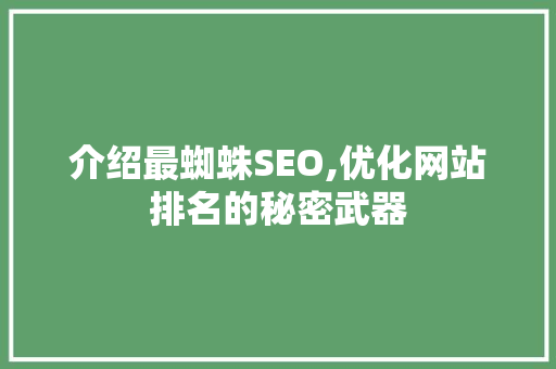 介绍最蜘蛛SEO,优化网站排名的秘密武器 百度SEO