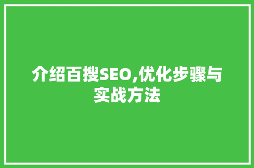 介绍百搜SEO,优化步骤与实战方法 百度SEO