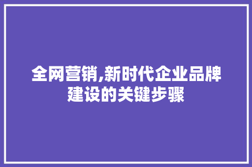 全网营销,新时代企业品牌建设的关键步骤 百度SEO