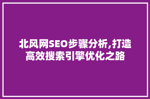 北风网SEO步骤分析,打造高效搜索引擎优化之路 GoogleSEO