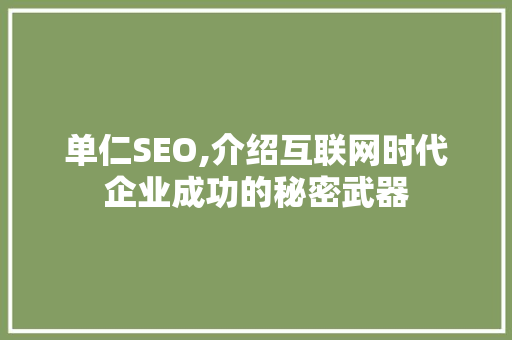 单仁SEO,介绍互联网时代企业成功的秘密武器 必应SEO