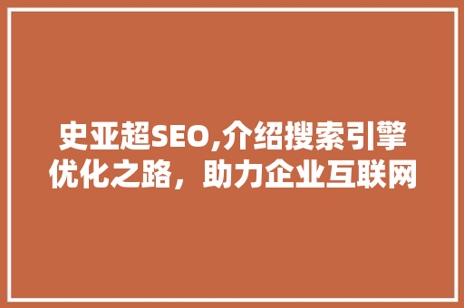 史亚超SEO,介绍搜索引擎优化之路，助力企业互联网营销 GoogleSEO