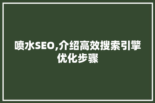 喷水SEO,介绍高效搜索引擎优化步骤