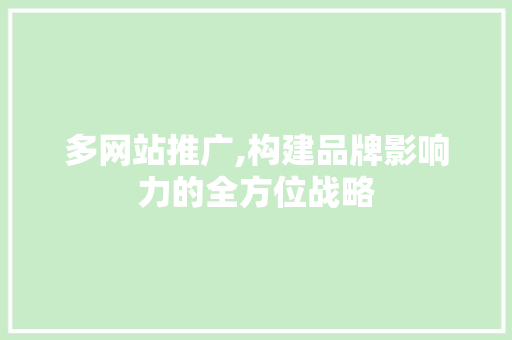 多网站推广,构建品牌影响力的全方位战略 GoogleSEO