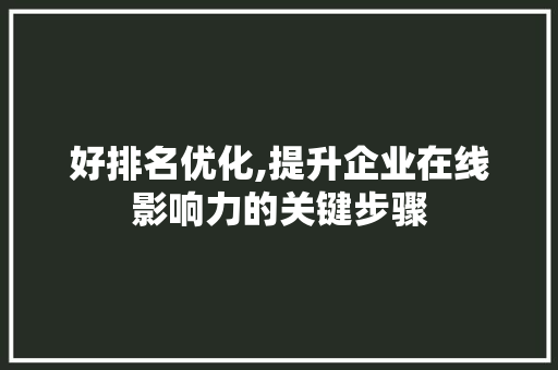 好排名优化,提升企业在线影响力的关键步骤 搜狗SEO