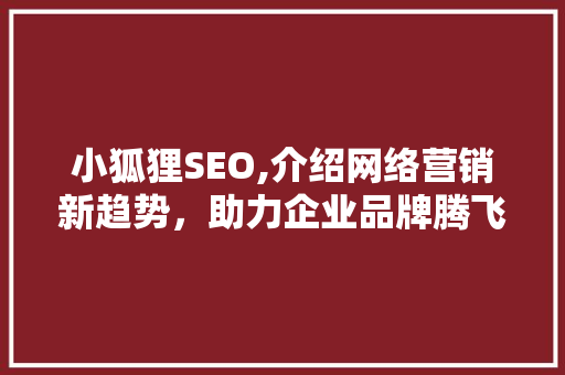 小狐狸SEO,介绍网络营销新趋势，助力企业品牌腾飞 GoogleSEO