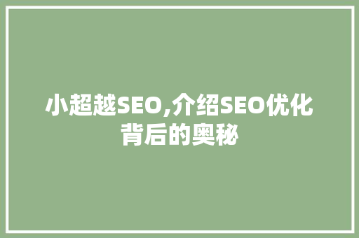 小超越SEO,介绍SEO优化背后的奥秘 GoogleSEO