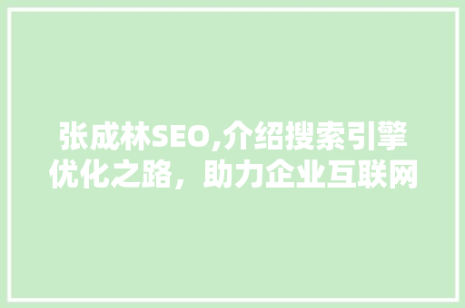 张成林SEO,介绍搜索引擎优化之路，助力企业互联网发展