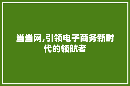 当当网,引领电子商务新时代的领航者