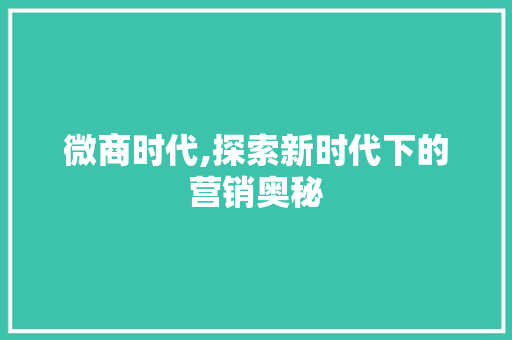 微商时代,探索新时代下的营销奥秘 GoogleSEO