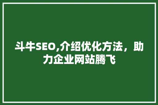 斗牛SEO,介绍优化方法，助力企业网站腾飞 GoogleSEO